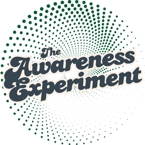 The Awareness Experiment