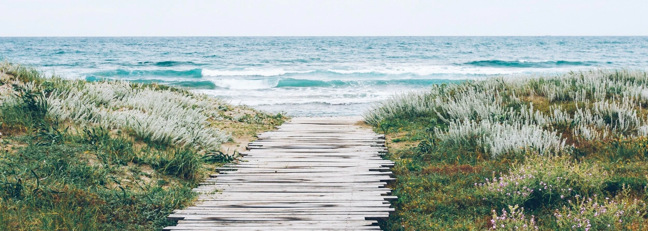 beach path.jpg