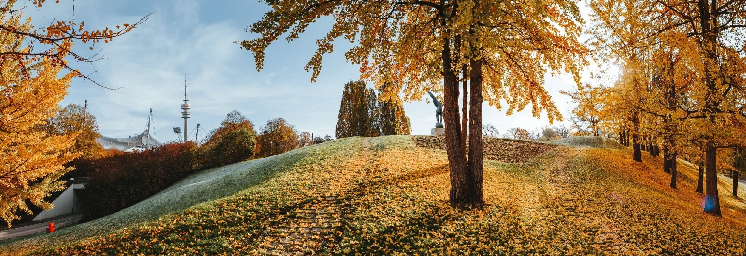 trees.jpg