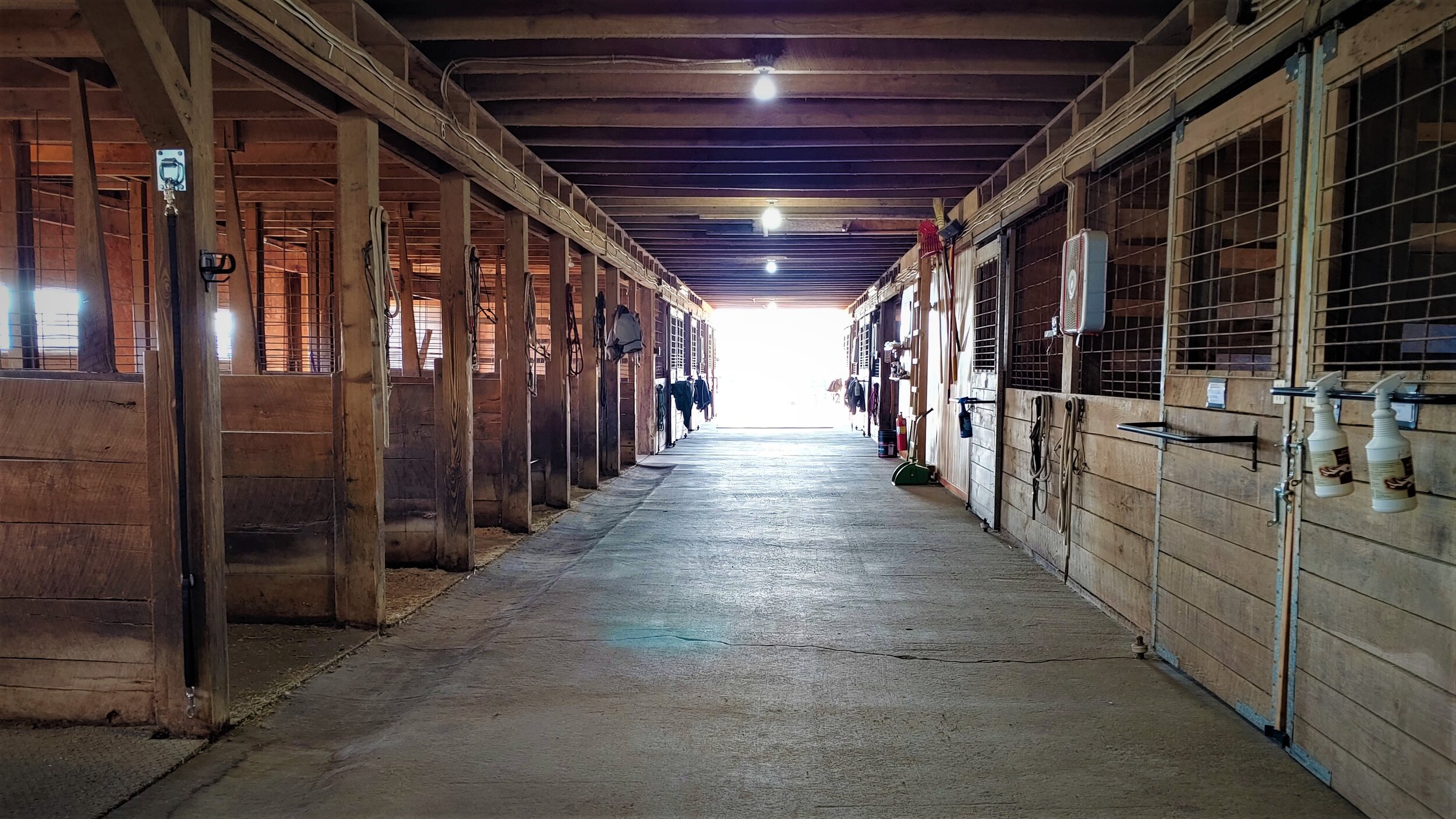 horse stable tours near me