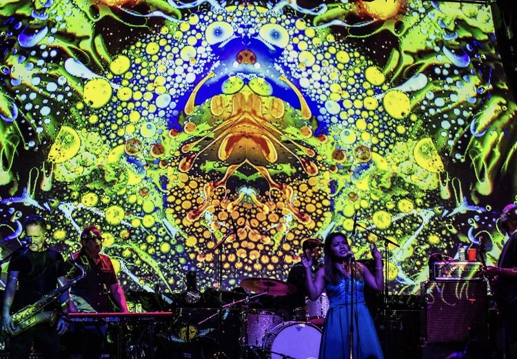 Don't miss the Mad Alchemy Liquid Light Show happening during LIVE! at Turnbow on April 25th starting at 6:30pm!

Based in the Bay Area, Mad Alchemy has traveled wide and far performing over 1200 shows in every imaginable venue, festival and museum a