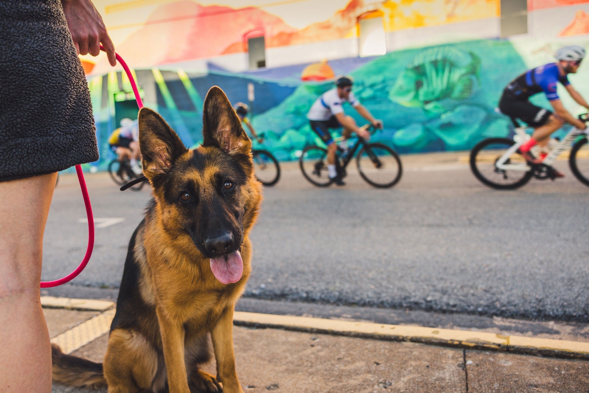 Ready for Round Two? 
Join us for the thrill of the Natural State Criterium Series in downtown Springdale on May 15! 🚴 Grab some dinner in our Outdoor Dining District and cheer on the racers. Furry friends are always welcome! 😉🐾 

🚴 May 15 starti