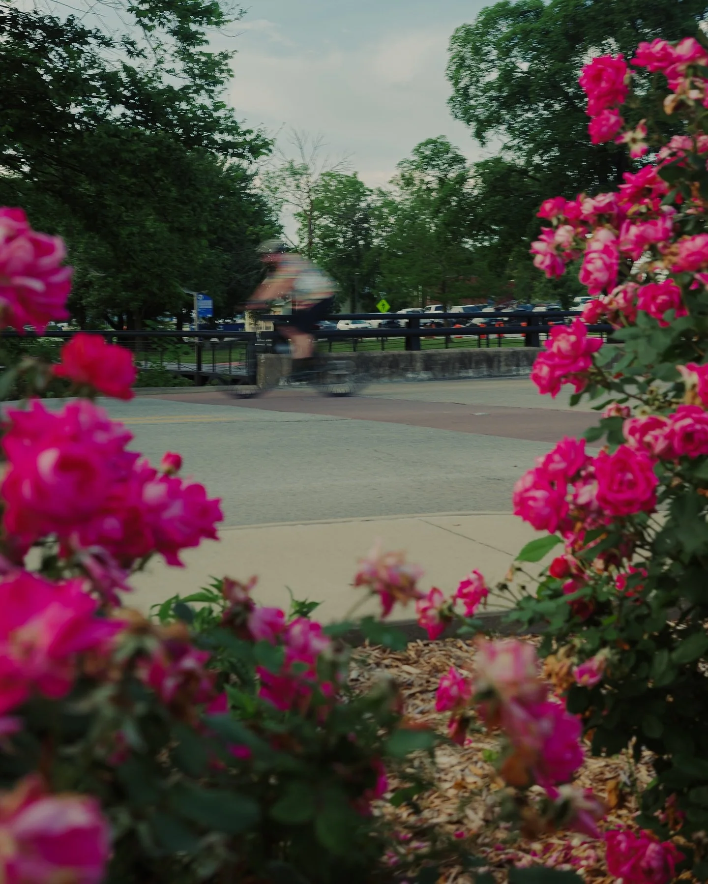 From freshly planted flowers to clean sidewalks and well-kept parks, our downtown shines thanks to the hard work of Springdale Parks &amp; Rec and Public Works teams.

We see you and we&rsquo;re grateful! 💚 Help us thank these behind-the-scenes hero