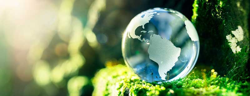 ENVIRONMENTAL HEALTH