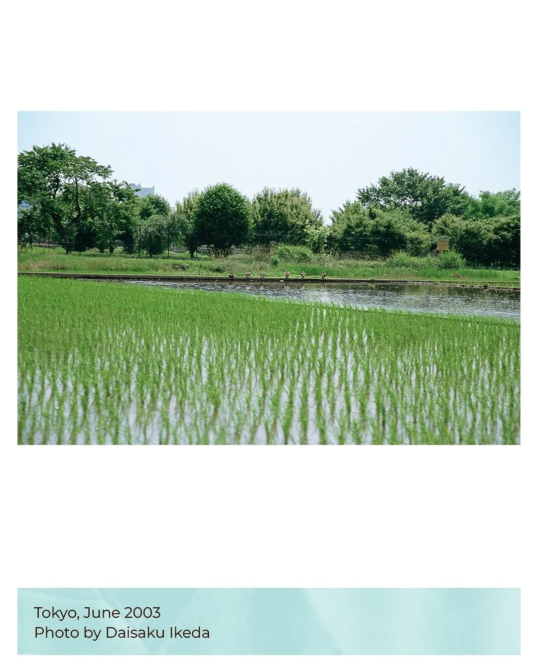 Summer reminds us: what looks barren can bloom again. Hope lives in your heart. ☀️✨ #dialoguewithnature

&ldquo;The power of growth, of improvement, the power to overcome all stagnation and break through every obstacle and transform a barren wastelan