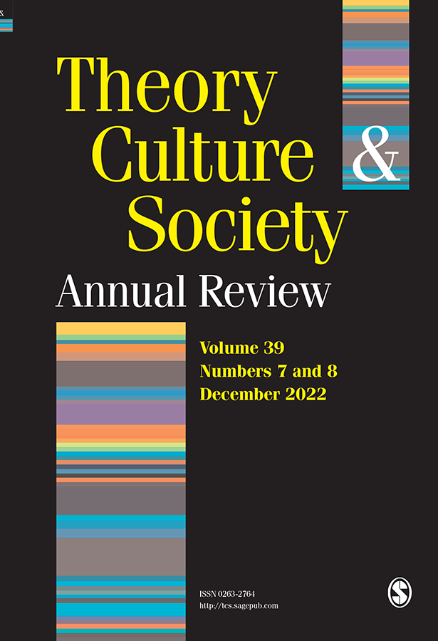 Theory Culture Society Global Public Life