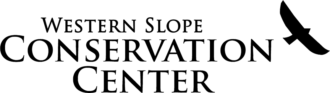wscc logo.png