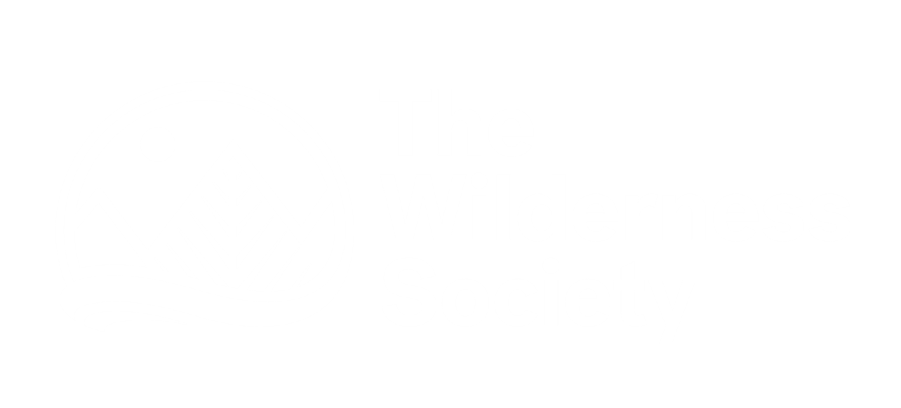 RESIZED TWS_2018_Logo_White.png