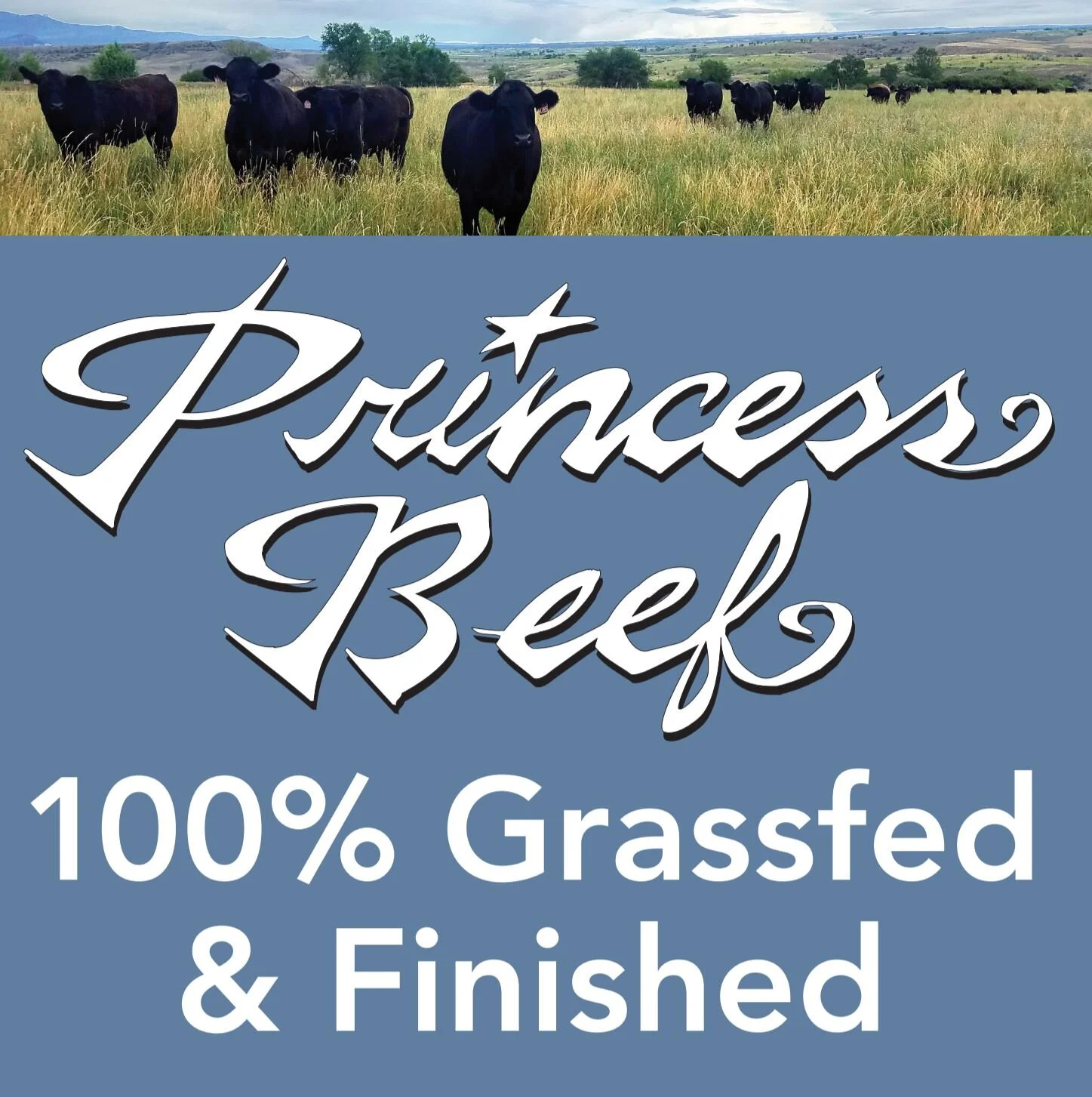 princess beef logo.JPG