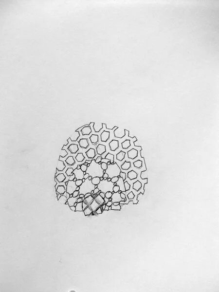 drawing14.jpg