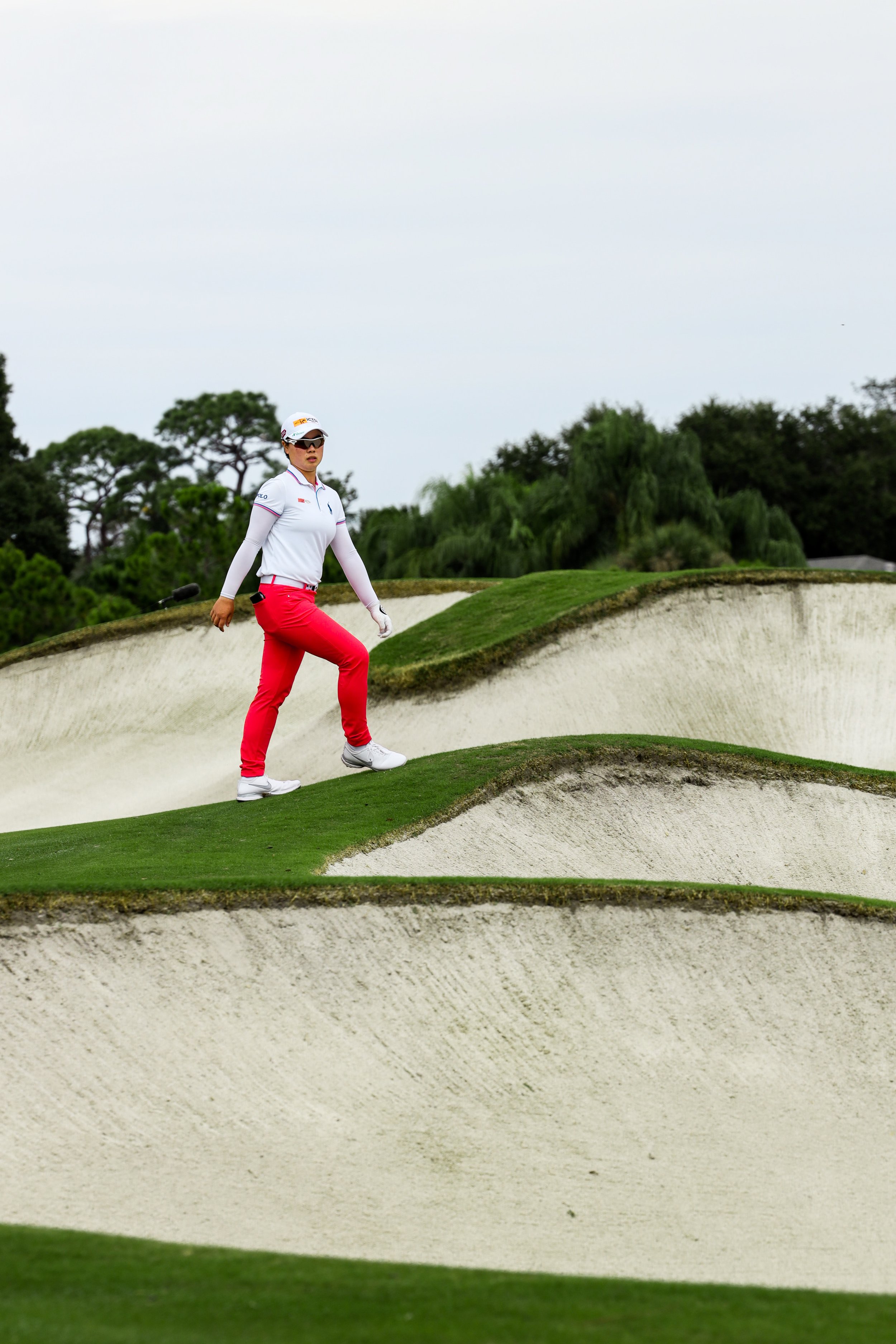 Female golf athlete in bright red pants walking among sand dunes on course. 