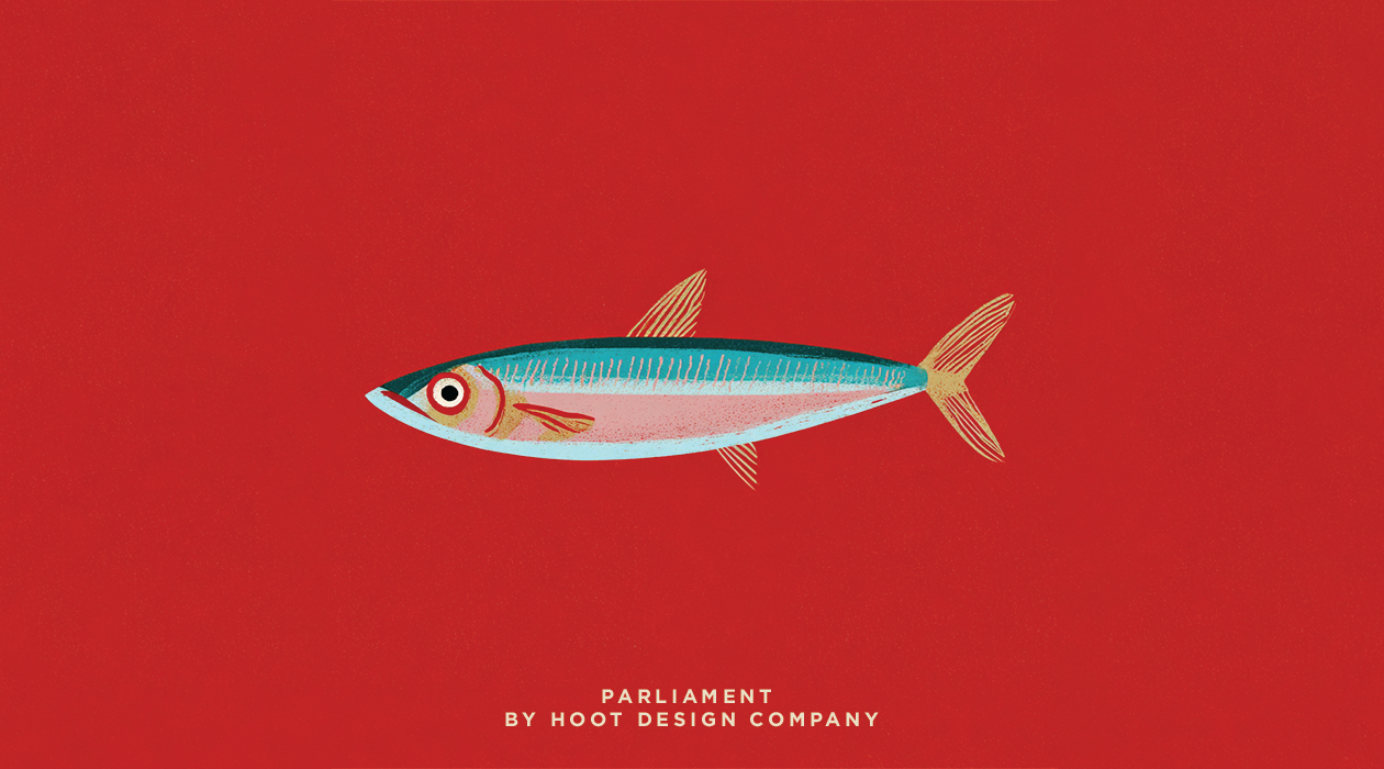 Parliament | Zigging Not Zagging