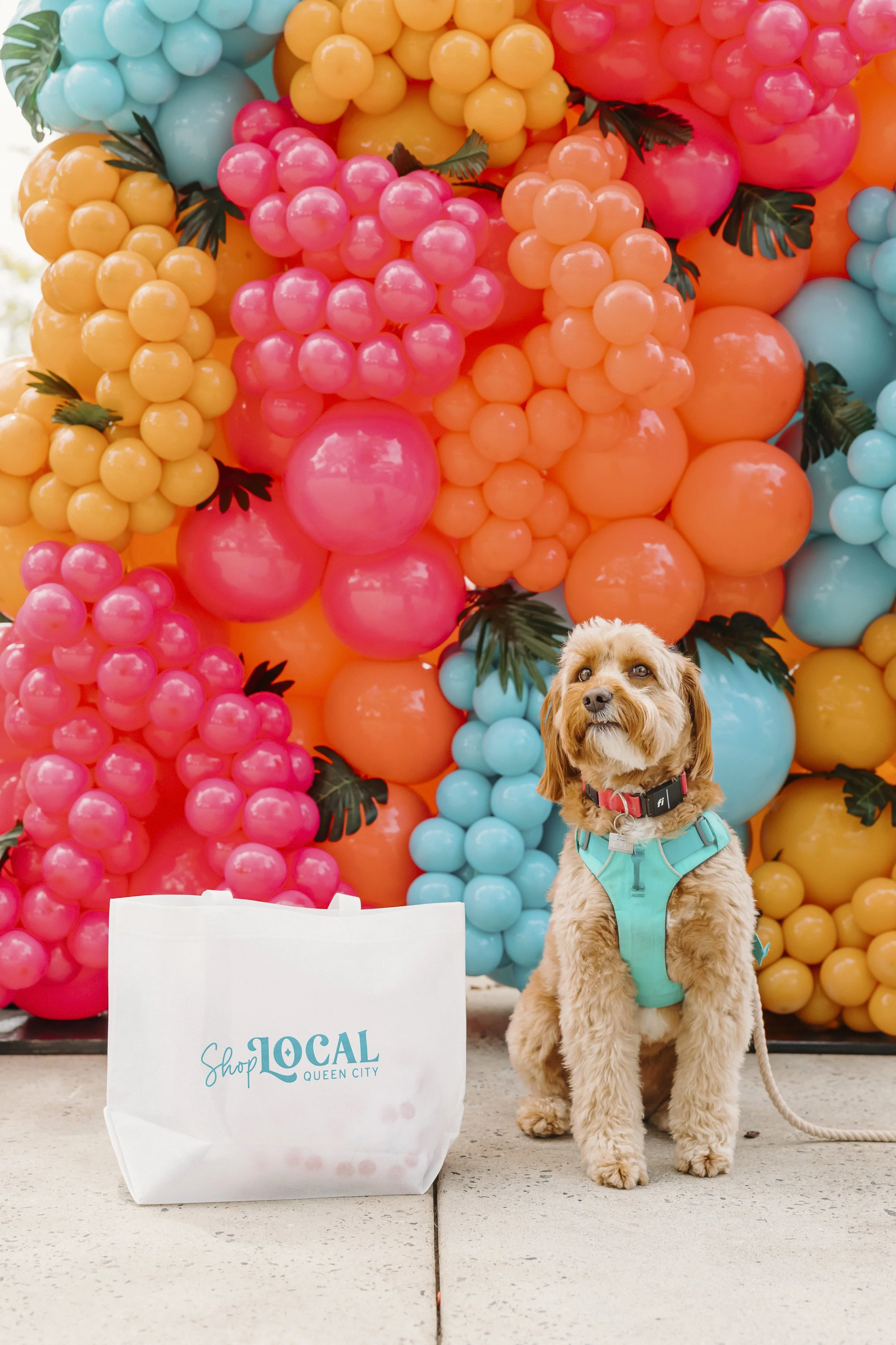 Shop Local Birkdale 8.10.25-260.jpg