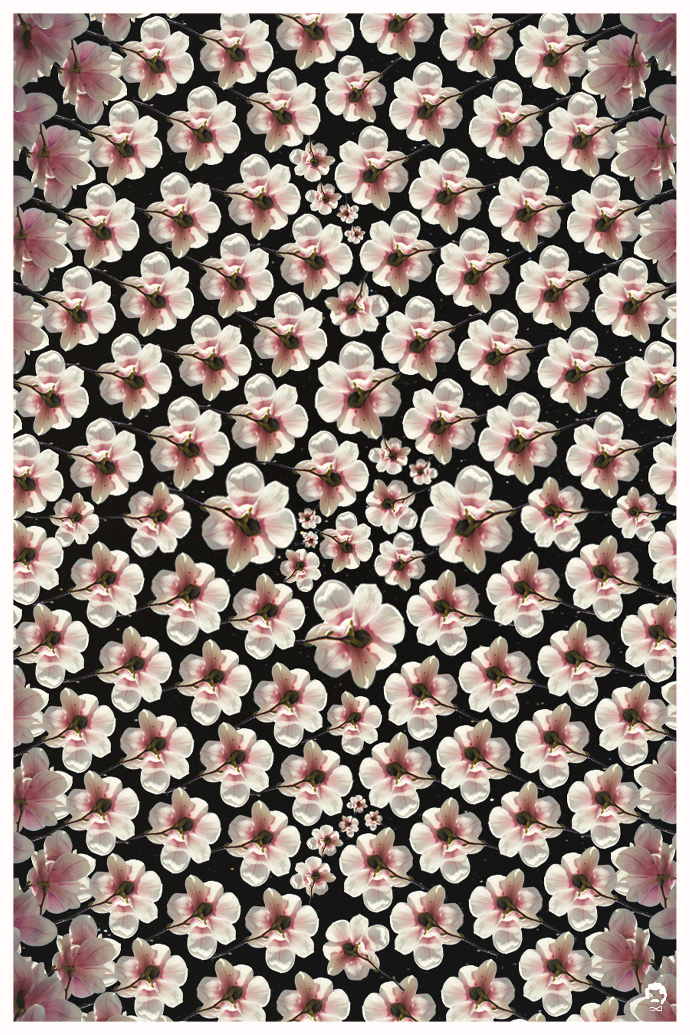 starflowerA_print.jpg