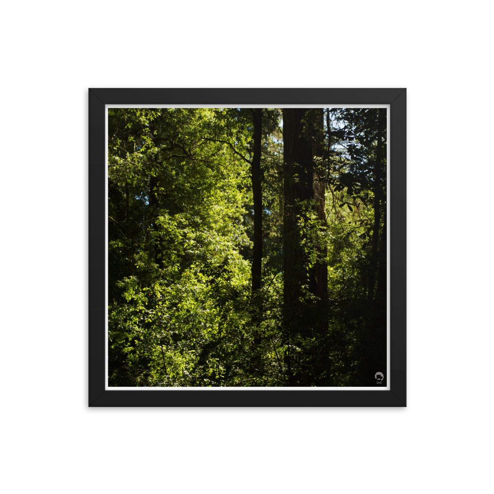 enhanced-matte-paper-framed-poster-(in)-black-14x14-transparent-6751229a5a92c.png