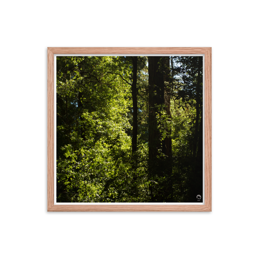 enhanced-matte-paper-framed-poster-(in)-red-oak-18x18-transparent-6751229a5ac6a.png