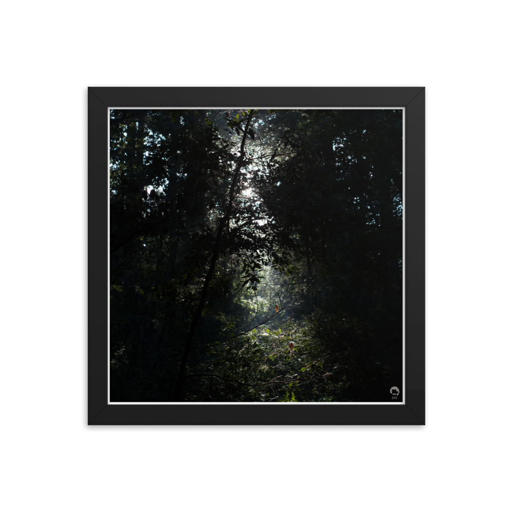 enhanced-matte-paper-framed-poster-(in)-black-12x12-transparent-675122c1de47e.png