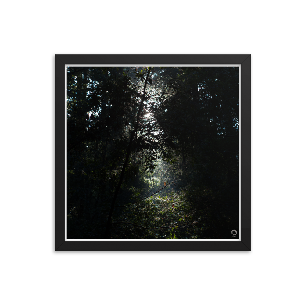 enhanced-matte-paper-framed-poster-(in)-black-14x14-transparent-675122c1de54a.png