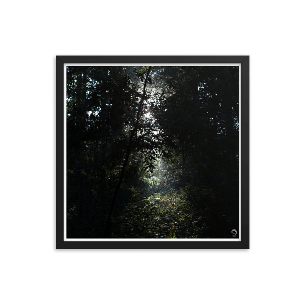enhanced-matte-paper-framed-poster-(in)-black-18x18-transparent-675122c1de5df.png