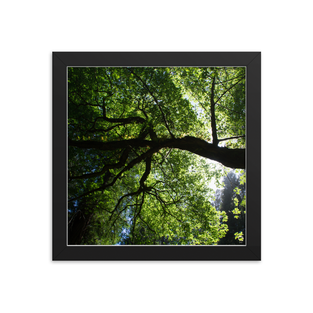 enhanced-matte-paper-framed-poster-(in)-black-10x10-transparent-675122df707b1.png