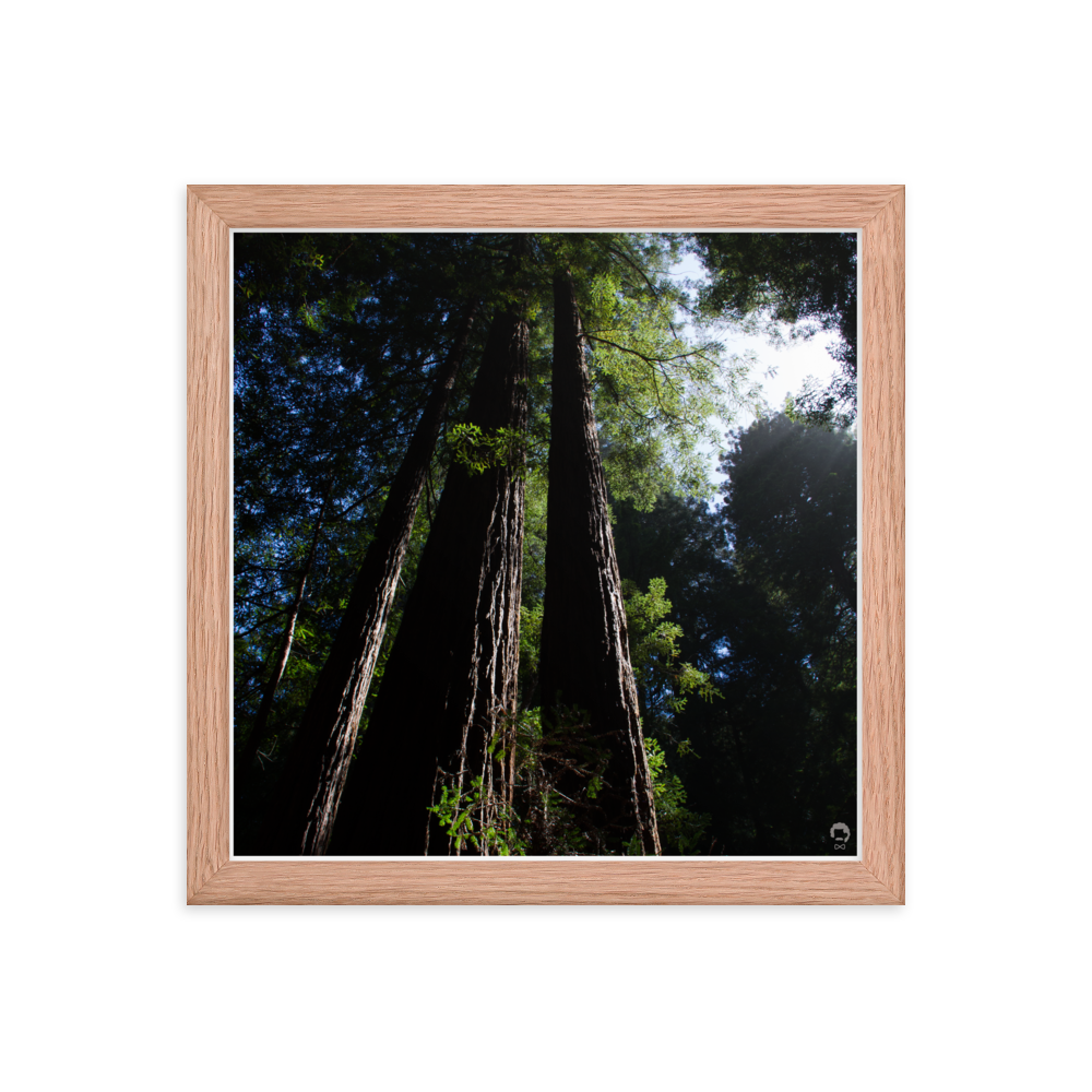 enhanced-matte-paper-framed-poster-(in)-red-oak-12x12-transparent-675123048f05b.png