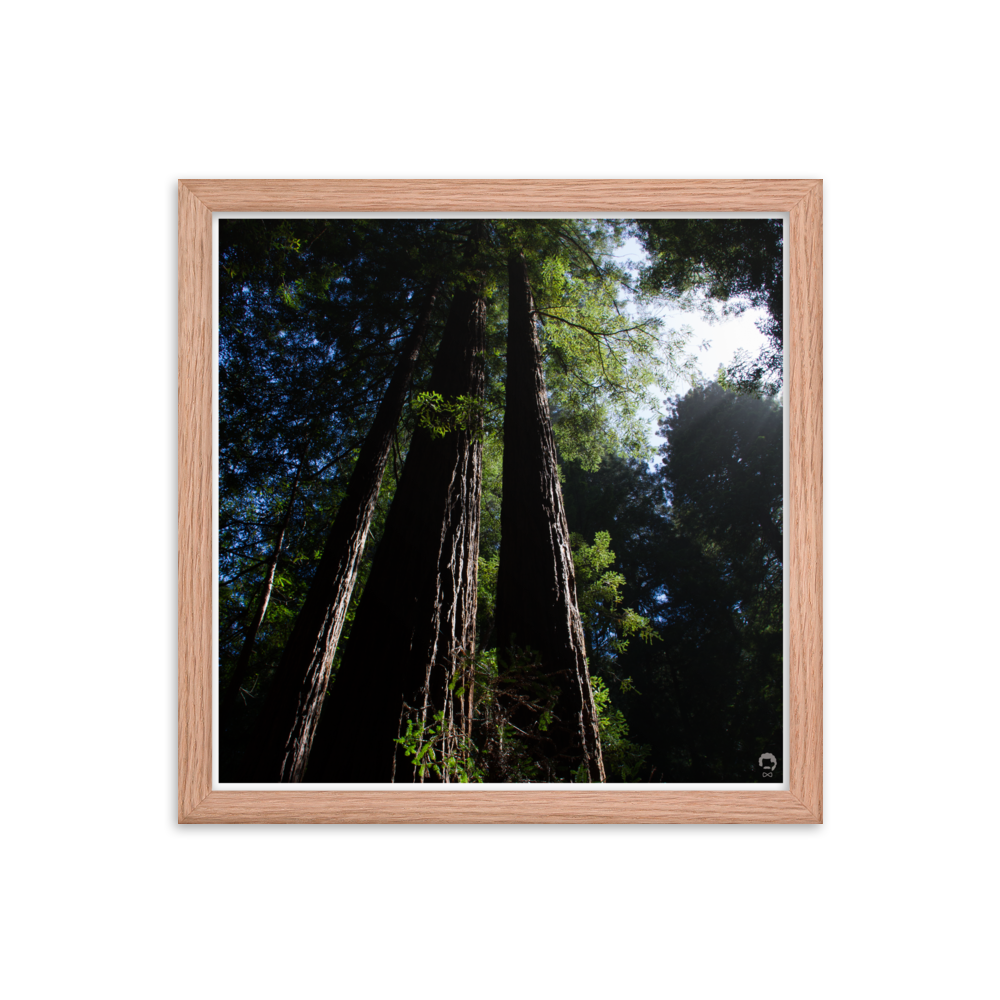 enhanced-matte-paper-framed-poster-(in)-red-oak-14x14-transparent-675123048f130.png