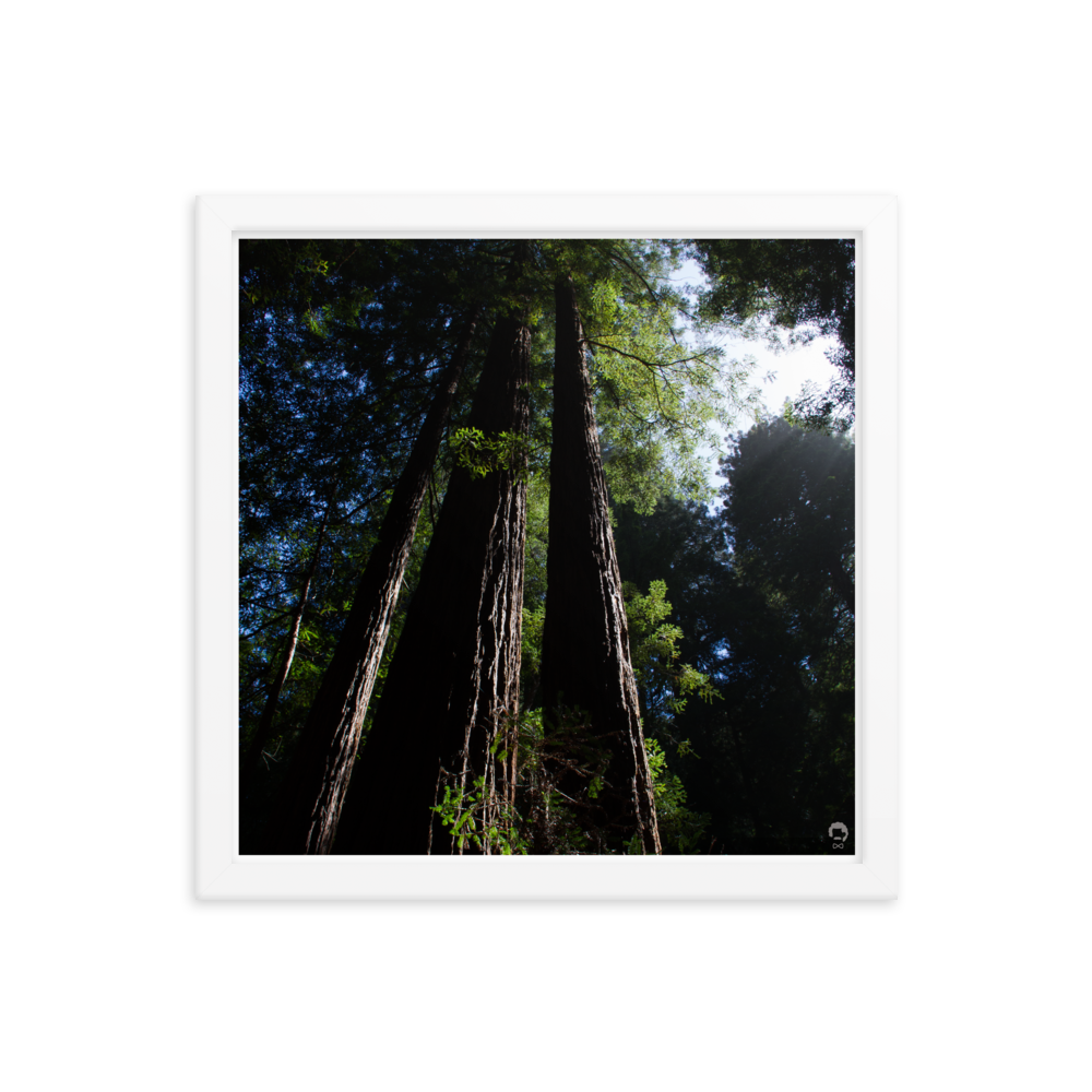 enhanced-matte-paper-framed-poster-(in)-white-14x14-transparent-675123048f550.png