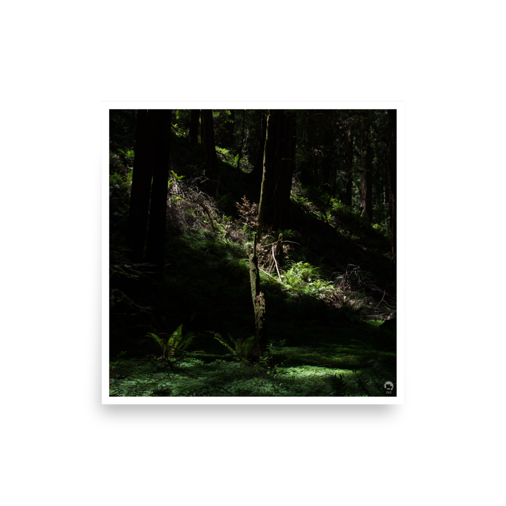 enhanced-matte-paper-poster-(in)-10x10-front-675130bc85171.png