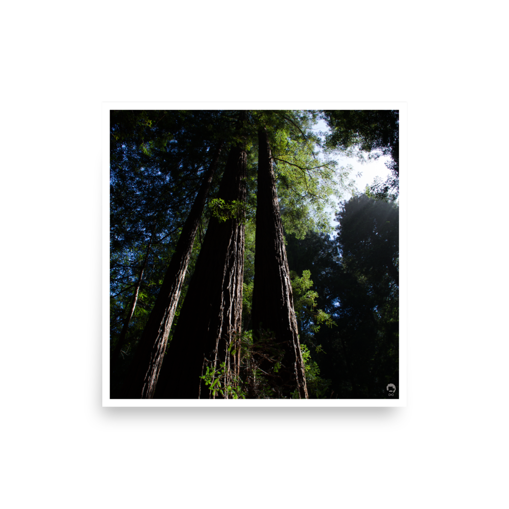 enhanced-matte-paper-poster-(in)-14x14-front-675132ff741bd.png