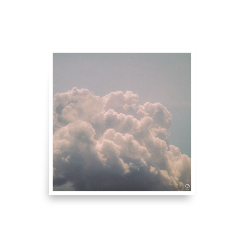 enhanced-matte-paper-poster-(in)-10x10-front-67520decee953.png