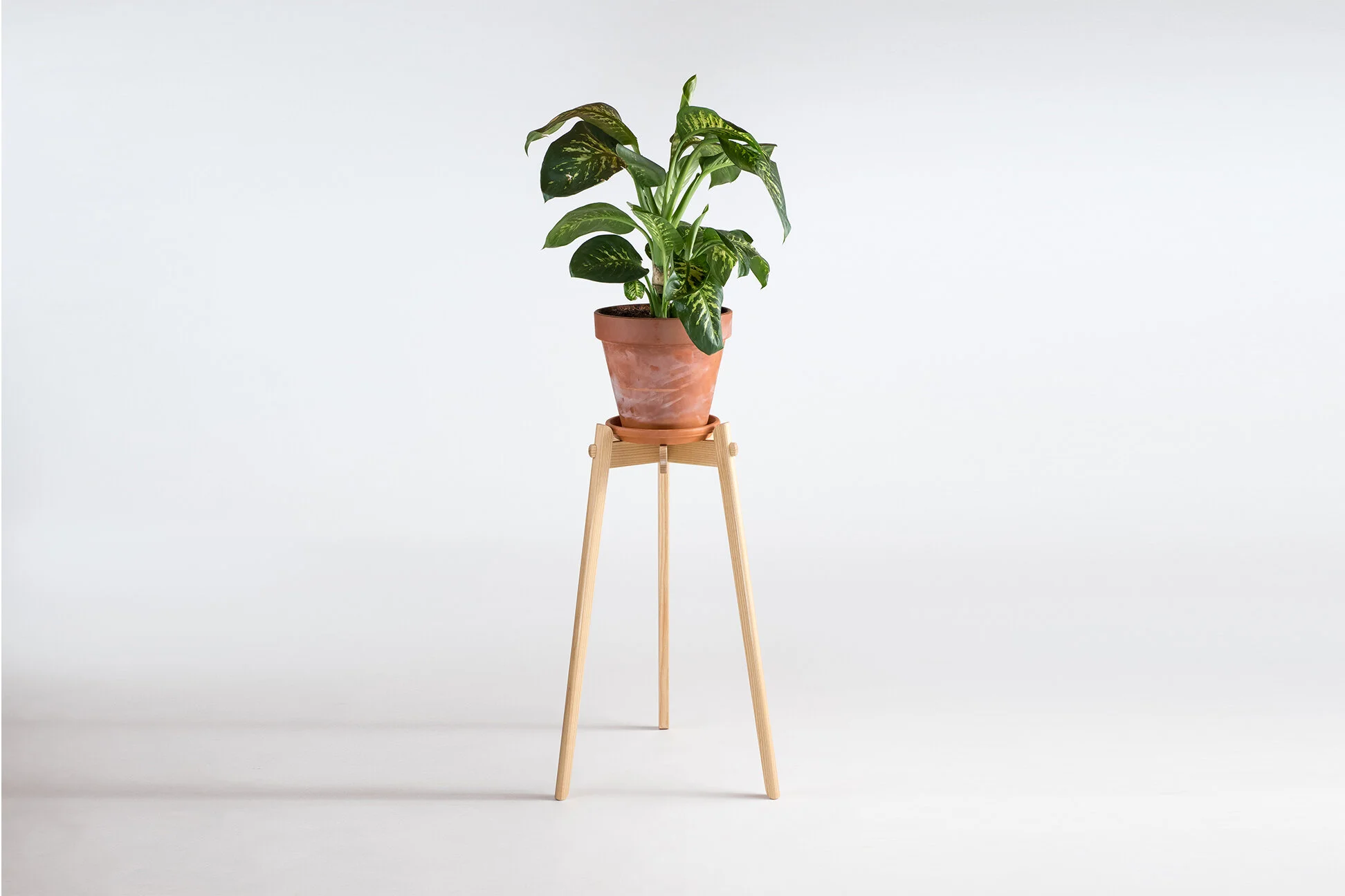 Plants stand 【植物台座】 Amazon.com : Bamworld Plant Stand Indoor Plant Shelf Outdoor Wood