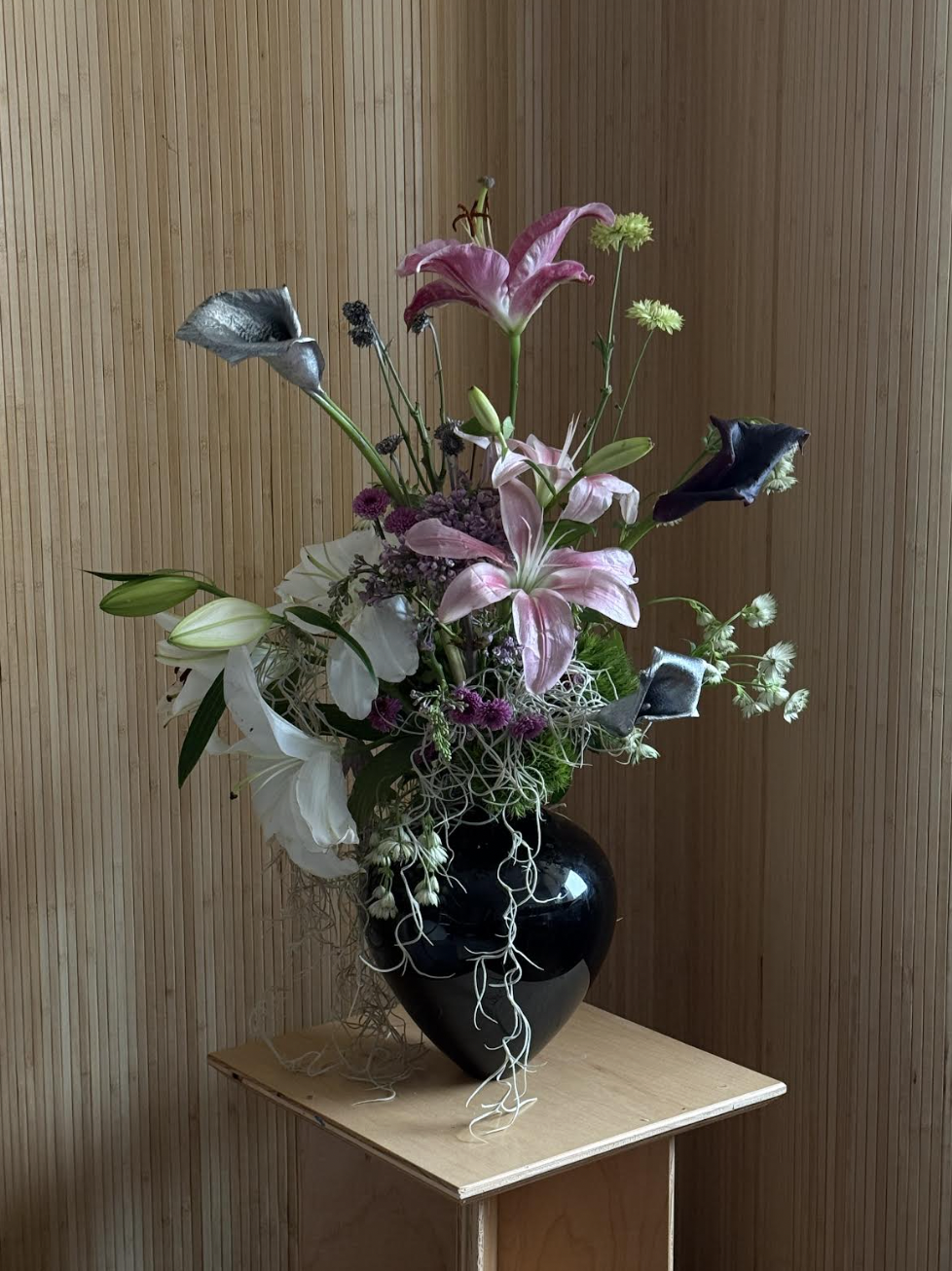 Screen Shot 2026-02-10 at 12.05.32 PM.png