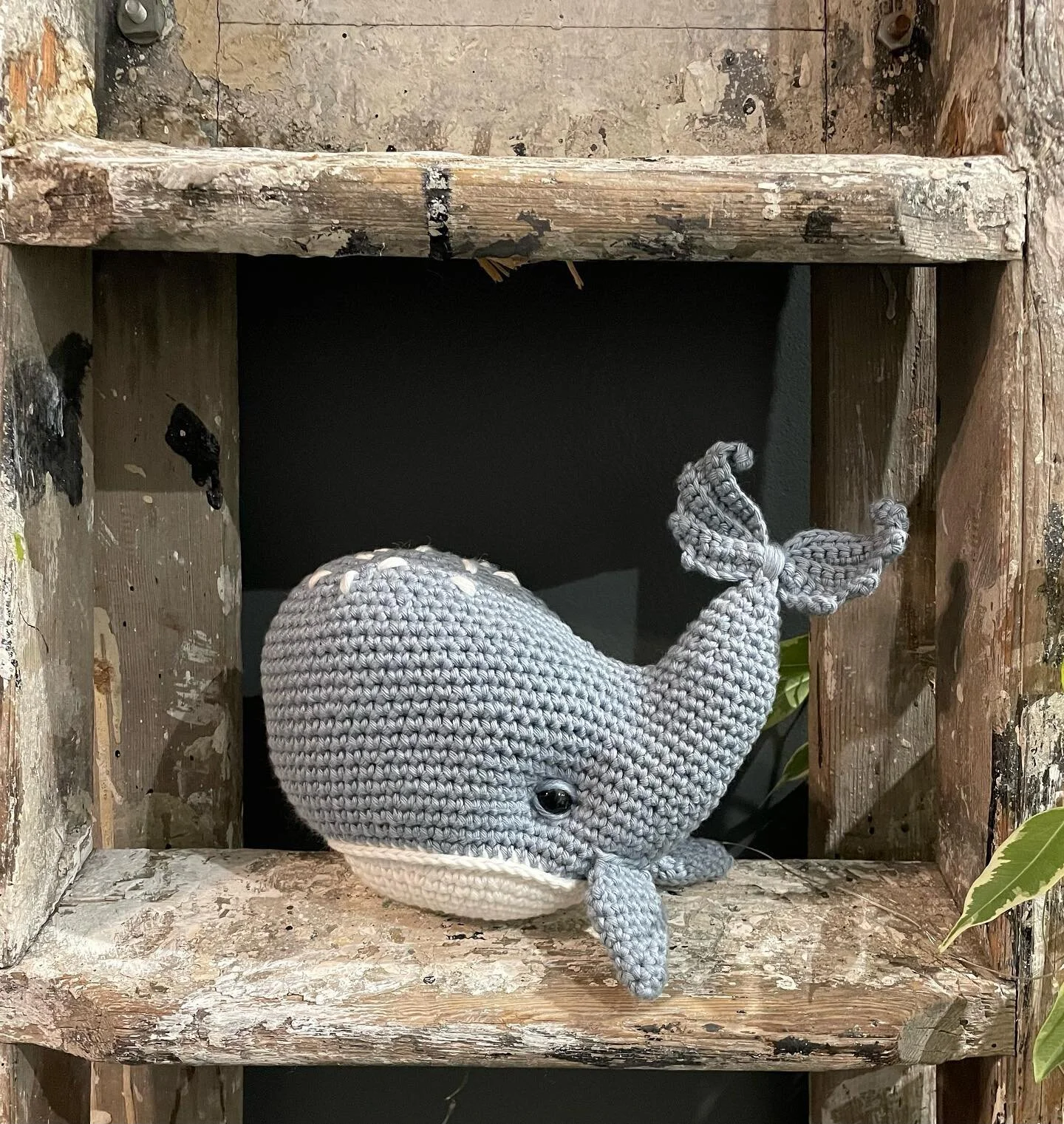 Meet Wally!! Wally whale has been on my list to make for absolutely ages! Today I was inspired!! I absolutely love him. Thank you @inna_chi_hm for yet another amazing pattern. I will be adding Wally to the website soon. 🐳 

&bull;

#whale #whales #w