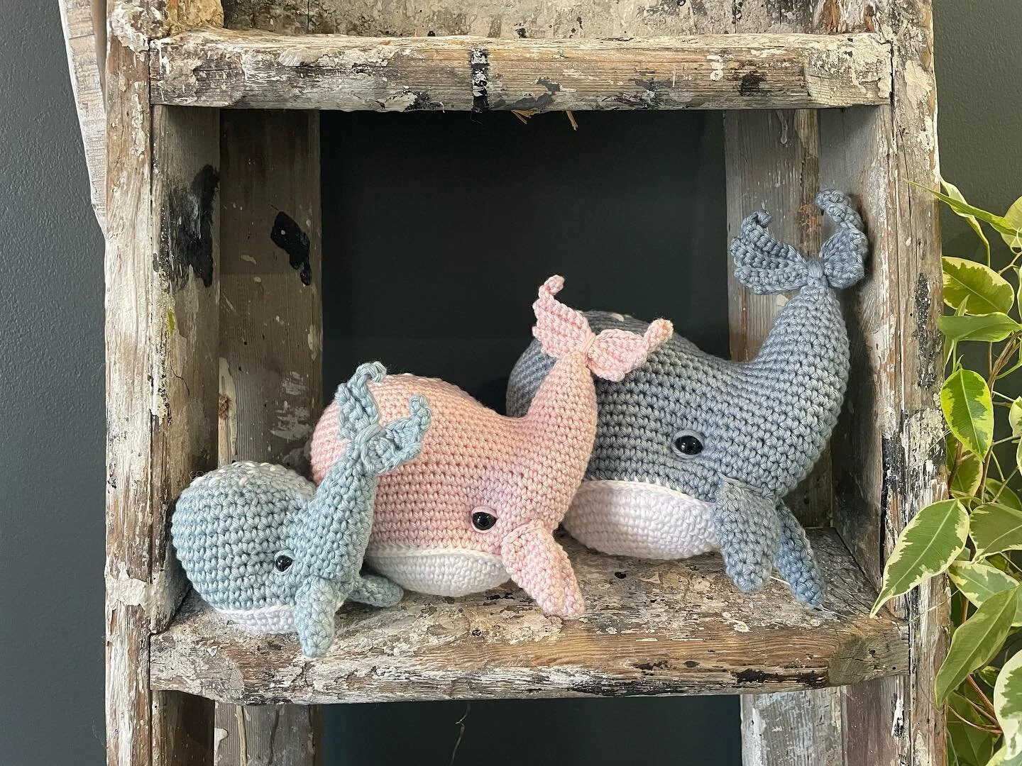Wally and Wilma are proud to announce the birth of their son William. 🐳 🤣 They are hoping for a daughter next time to make their family complete ! 🤣

&bull;

#whales #whale #william #wally #wilma #family #happyfamily #son #daughter #siblings #babi