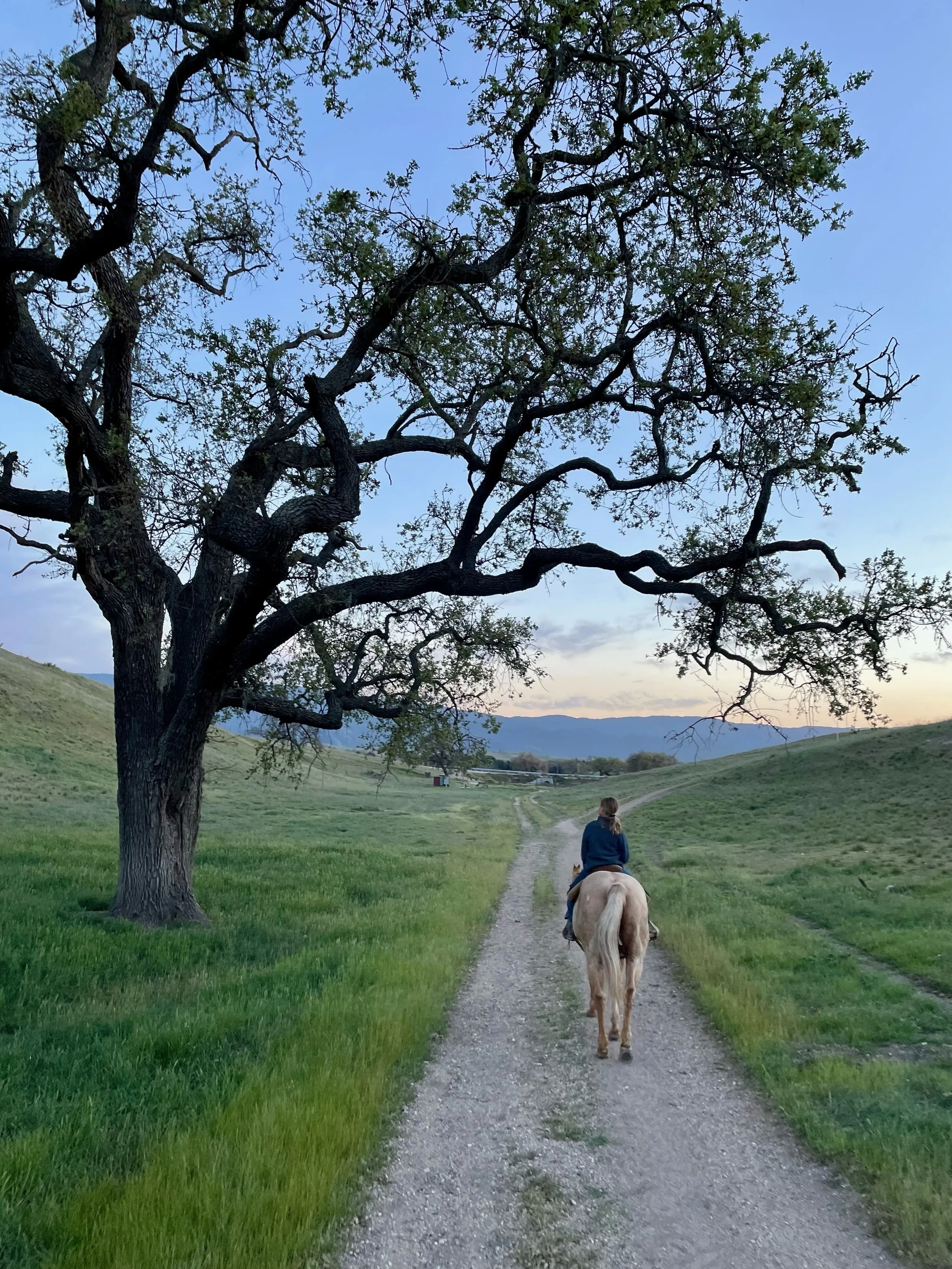 Trail Ride