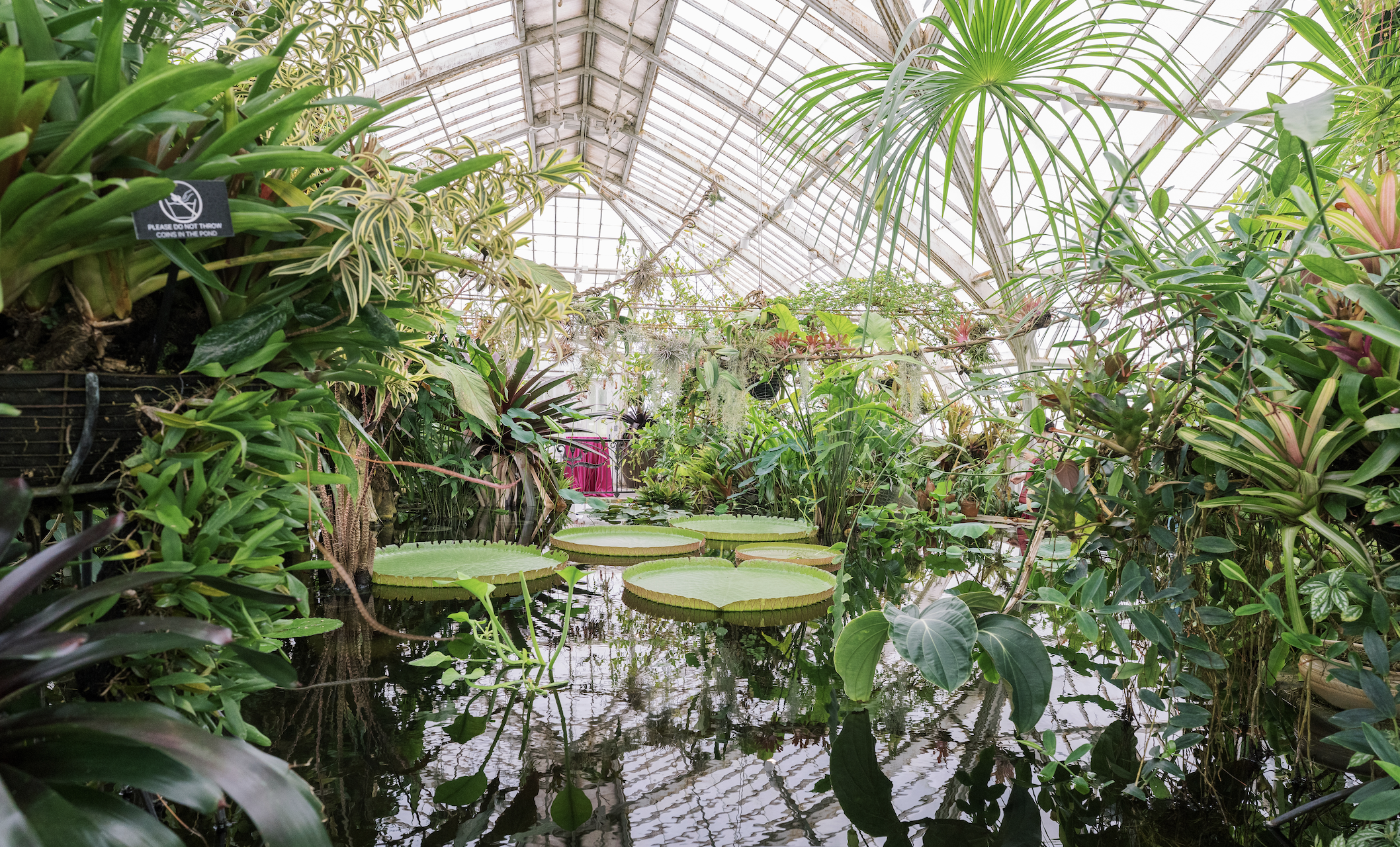 Screen Shot 2025-12-30 at 10.36.17 PM.png