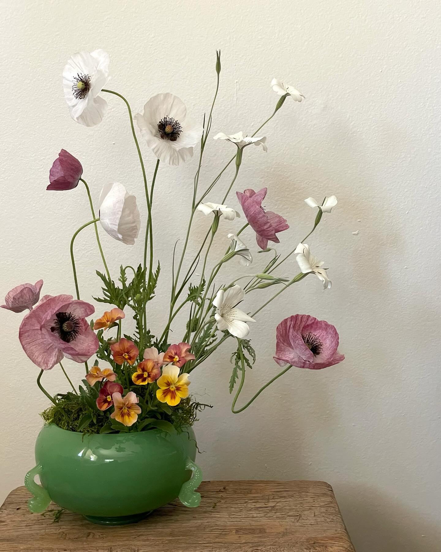 The three flowers that I have tried unsuccessfully to grow or have wanted to grow for a long time are in this arrangement. 

I first came across Corncockle when I was freelancing for @vervainflowers in England some years back. I had never seen it in 