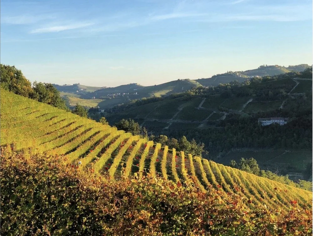  Photo credit: G. D. Vajra 