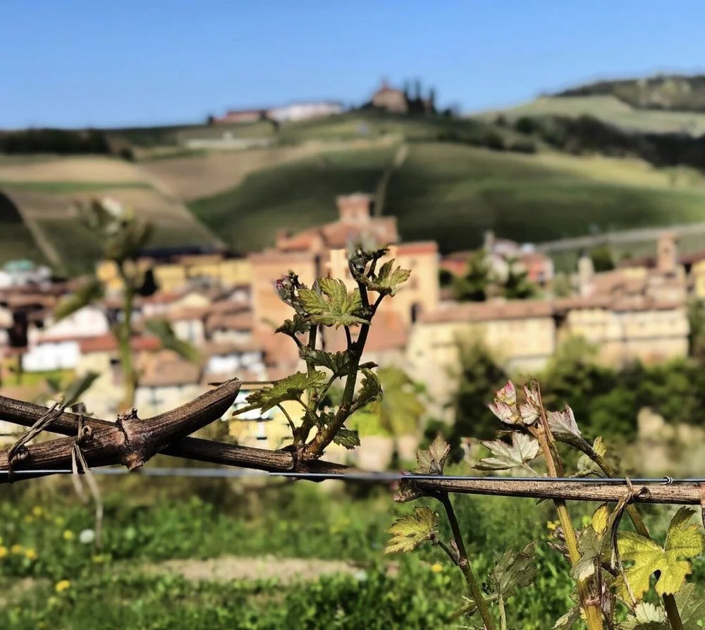  Photo credit: G. D. Vajra 