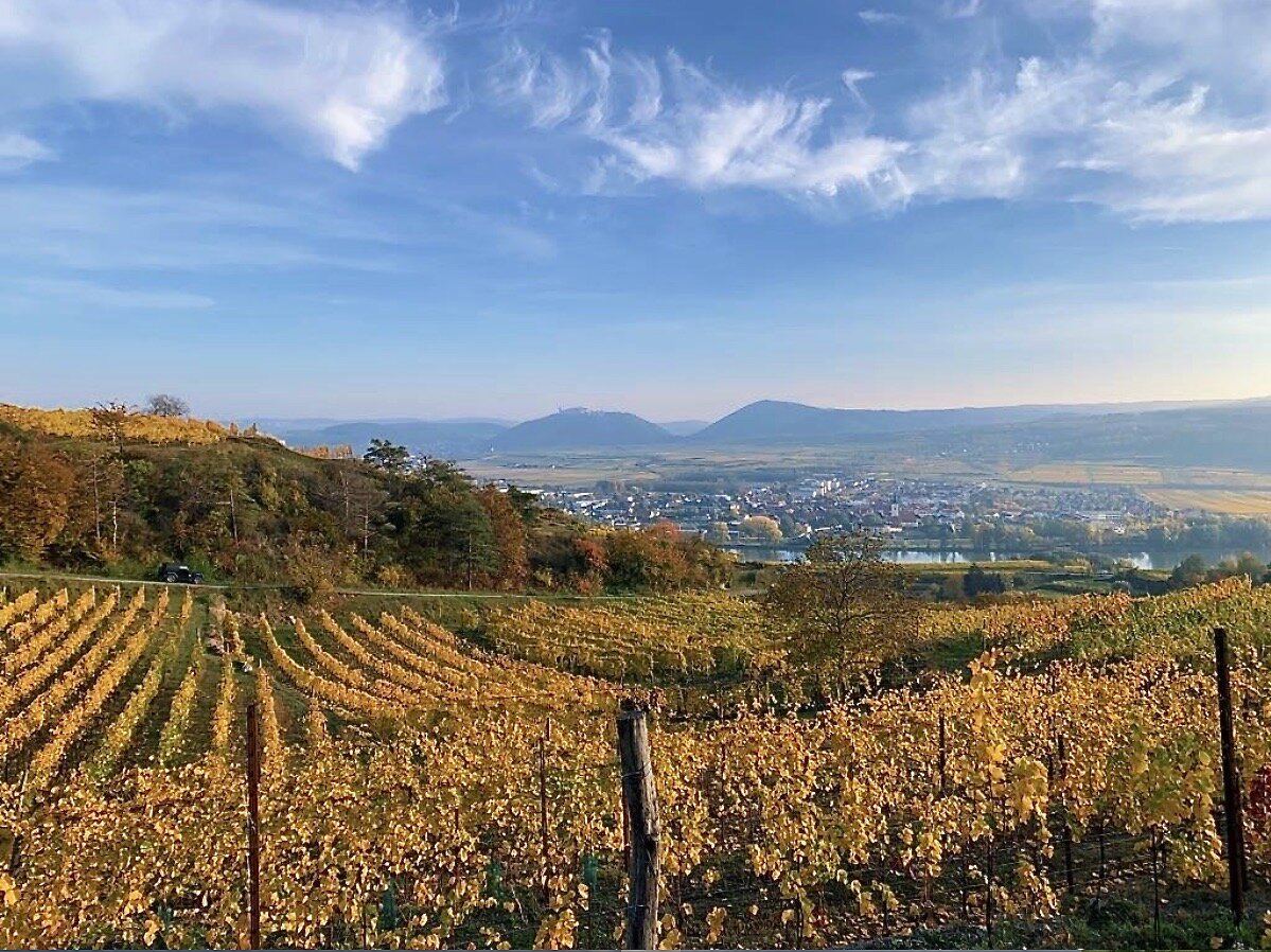  Overview from the estate vineyards  Photo credit: Rainer Wess  