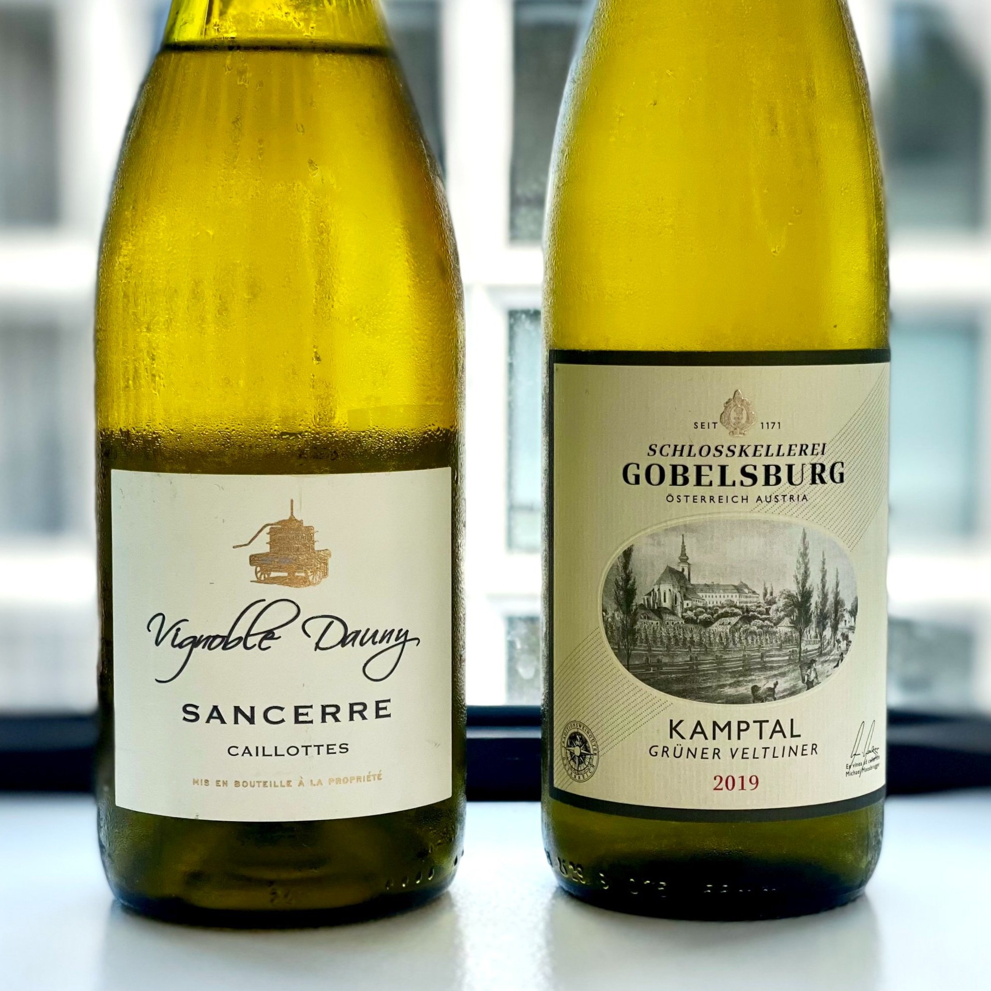  Schlosskellerei Gobelsburg Gruner Veltliner Kamptal DAC, Austria 🇦🇹 2019  Vignoble Dauny “Les Caillottes” Sancerre Loire, France 🇫🇷 2020  