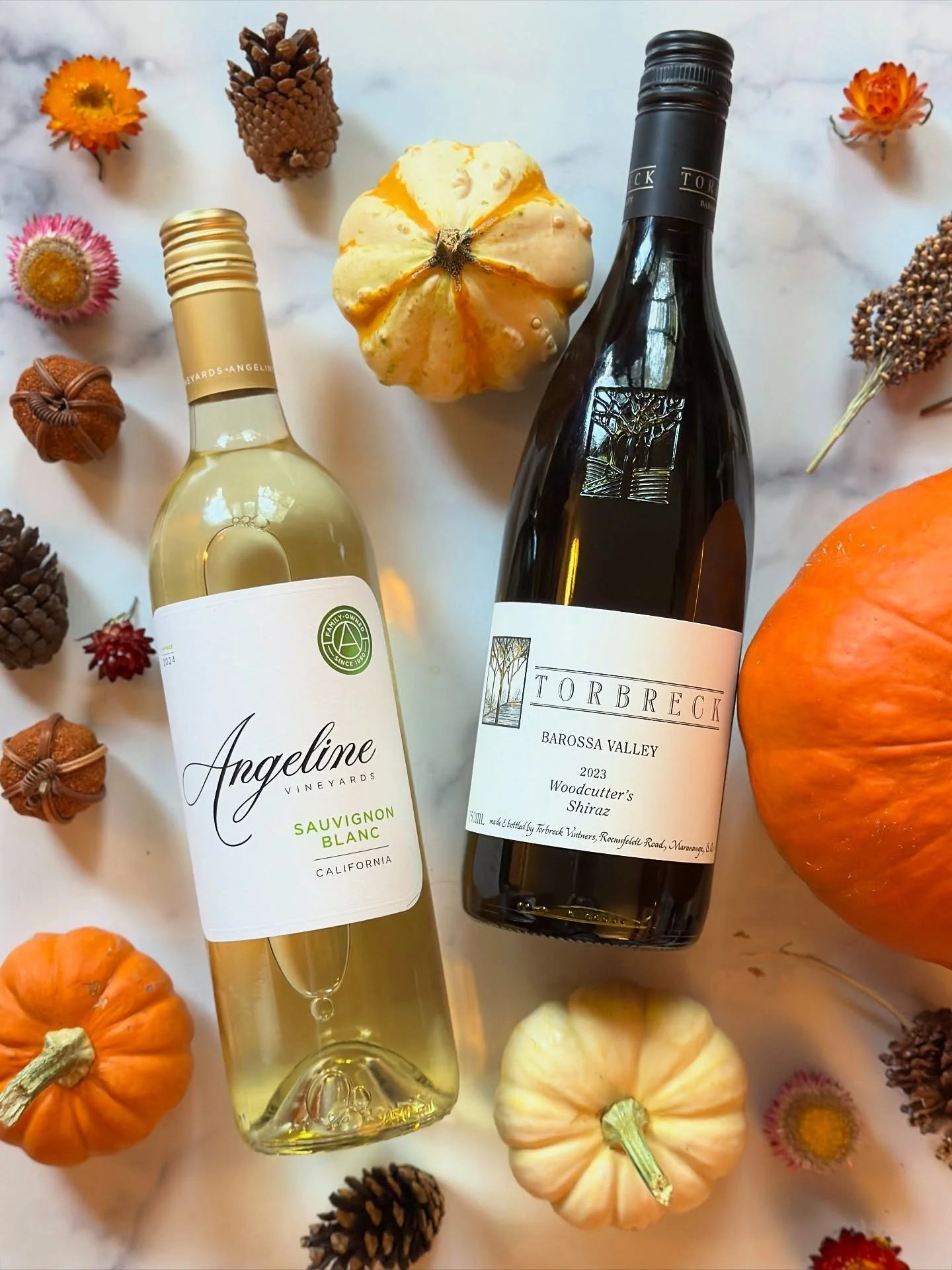 Join Me for #ComeOverOctober: Reconnecting Through Wine, Friendship & Community 🍷
You may have noticed I’ve been a little quiet lately. That’s because I’ve been deep in the books, prepping for the WSET Diploma D3 exam (yes, th