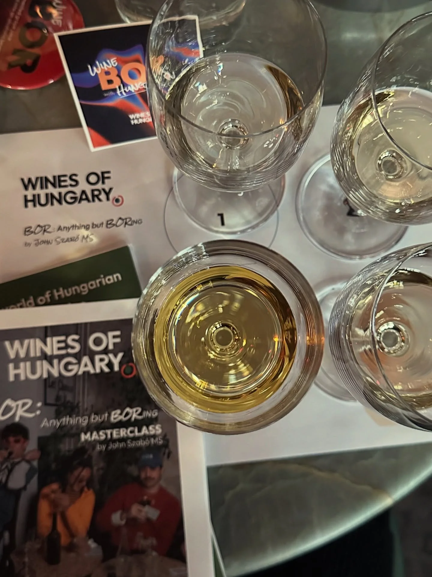 Hungary Masterclass Led by John Szabo
Tasting Hungary: A Wine Story of Terroir, Tradition, and Surprise 🇭🇺🍷

I had the great pleasure of participating in a masterclass on Hungarian wines hosted by the amazing @johnszaboms. I left inspired, energiz