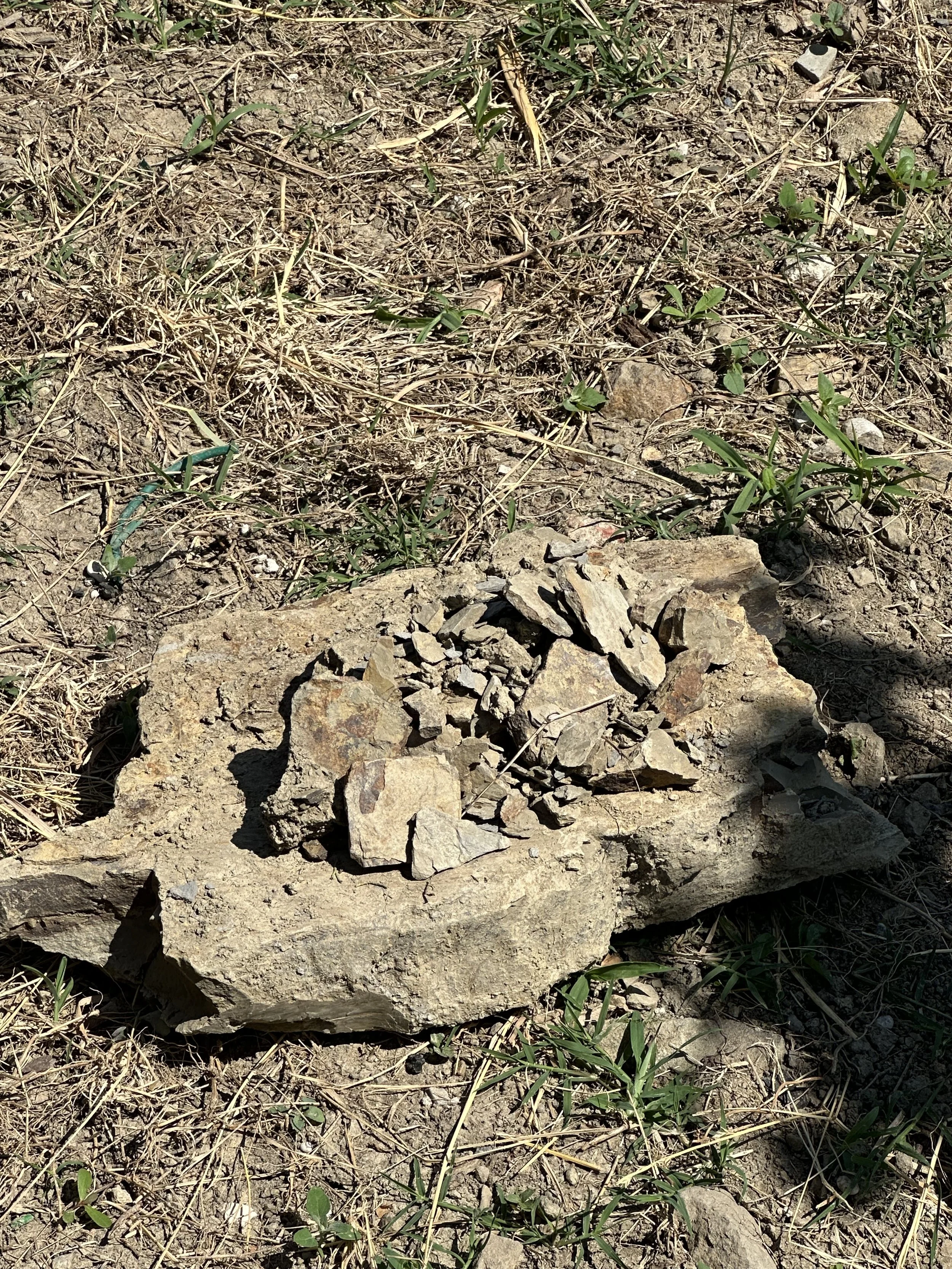 Felluga_Ponca Soil.jpeg