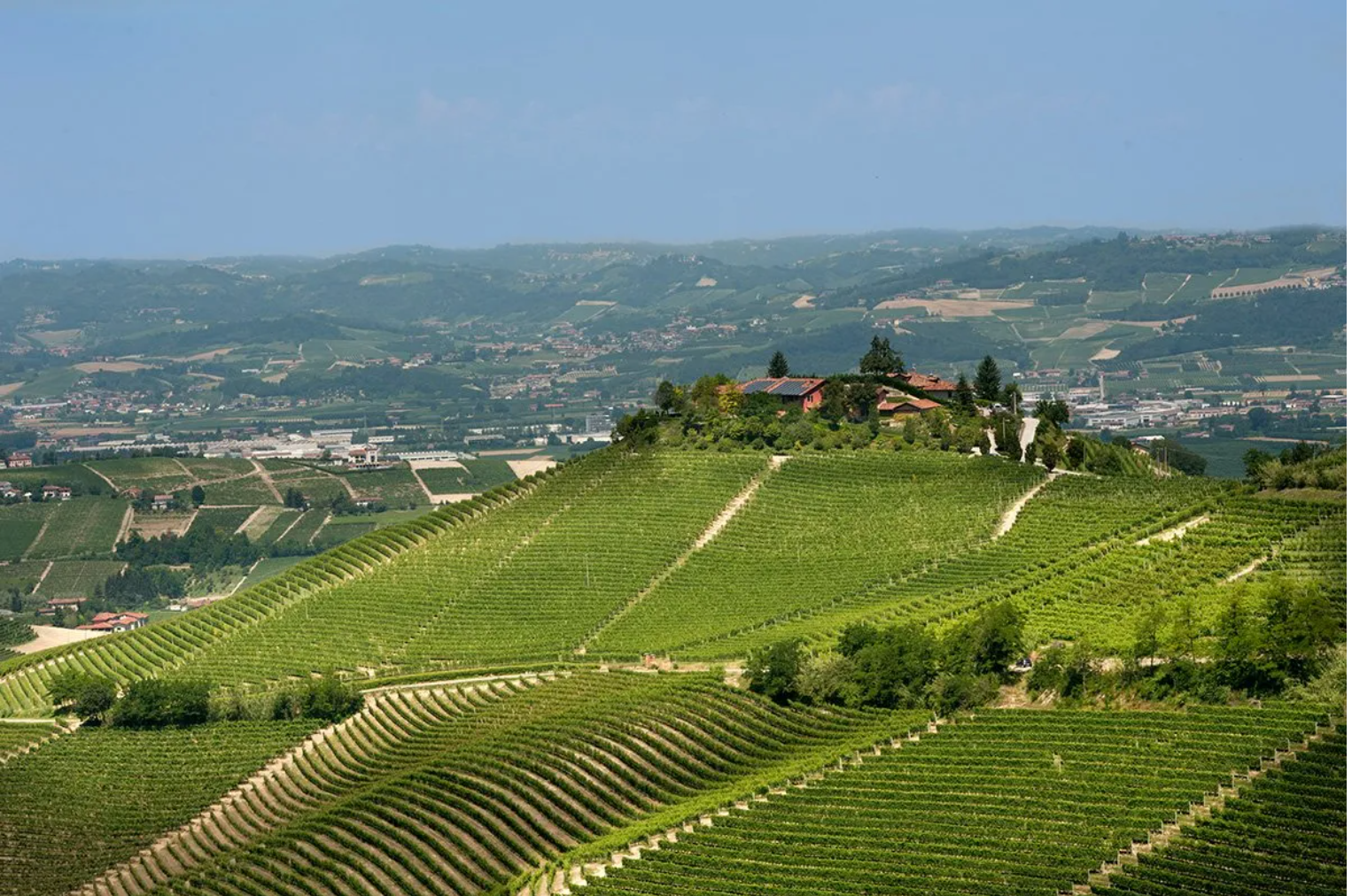 Bricco di Treiso in Treiso