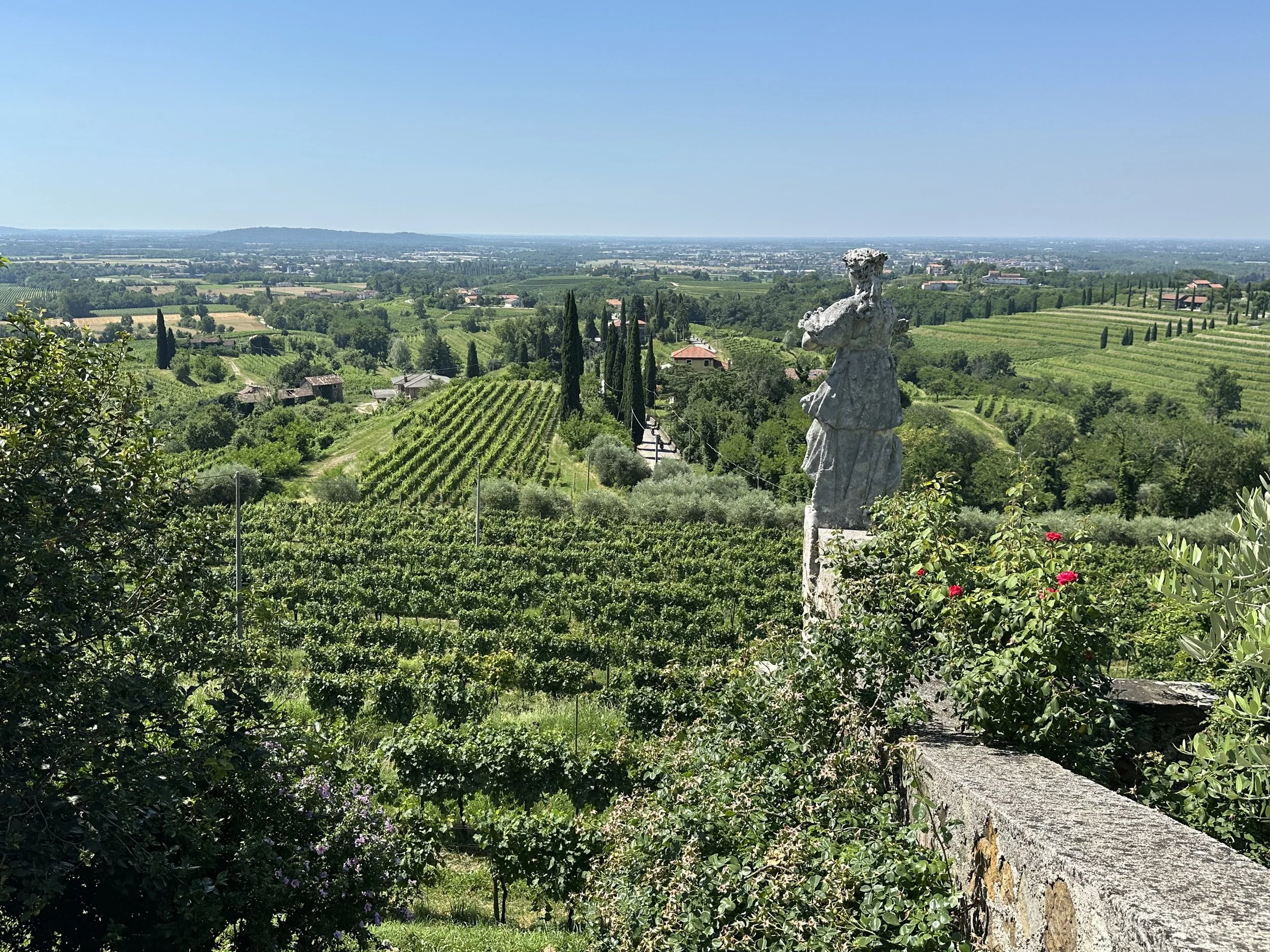 Livio Felluga Rossazzo Abbey Vineyards