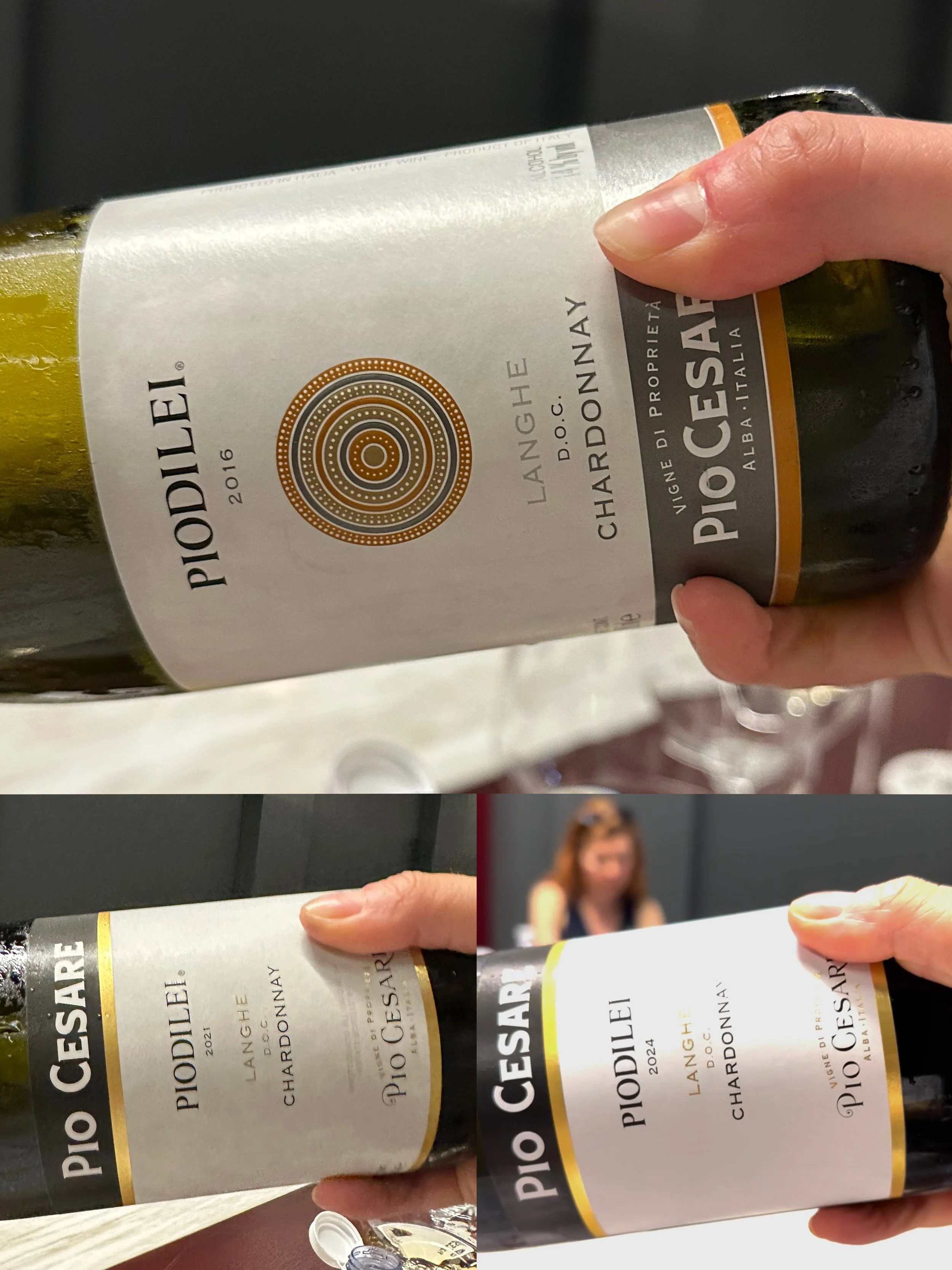 Tasting Pio Cesare's Piodelei Chardonnay in multiple vintages in newly built cellar in Alba, Piedmont, Italy