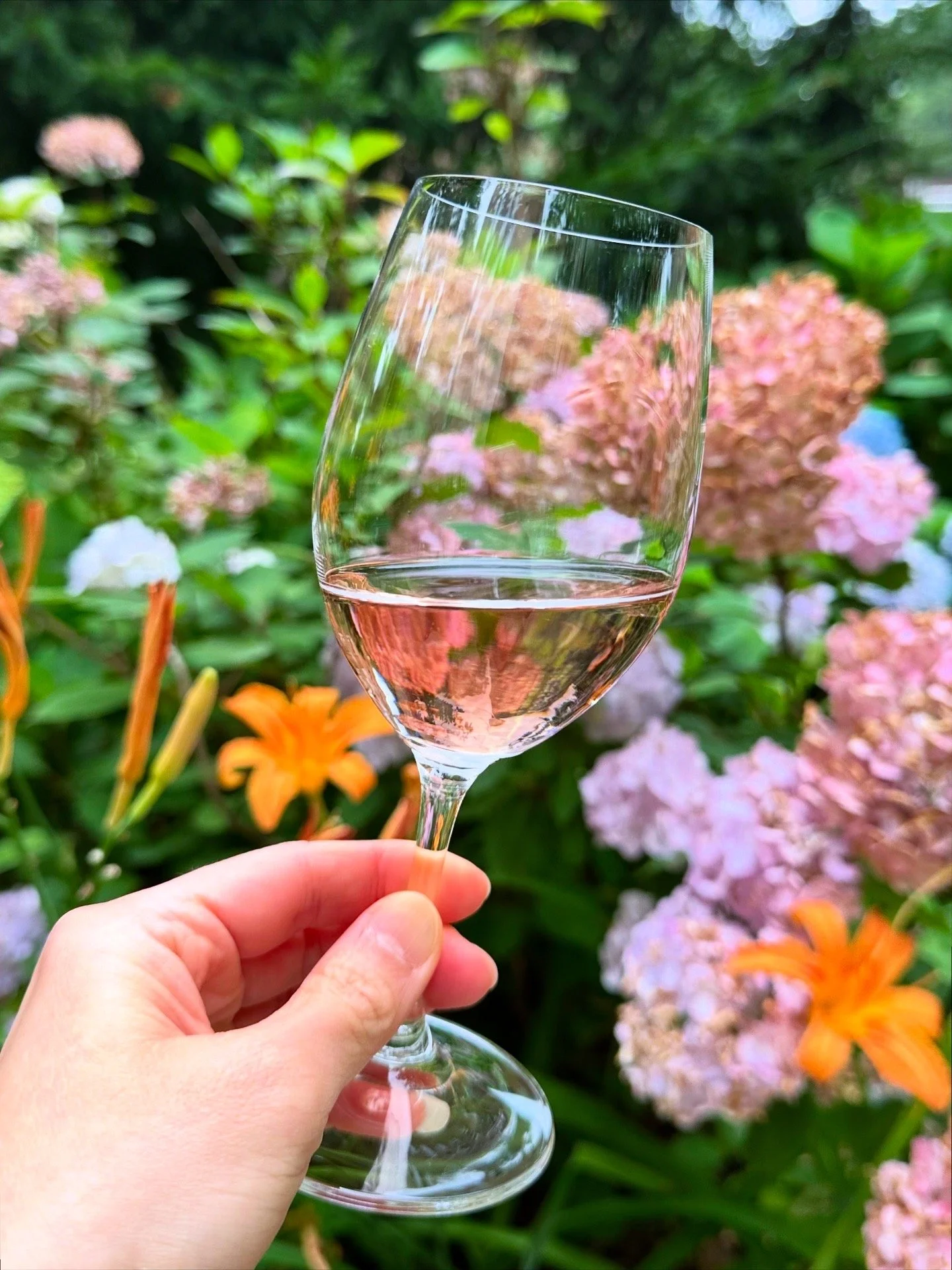 Rose in hand in a beautiful summer garden