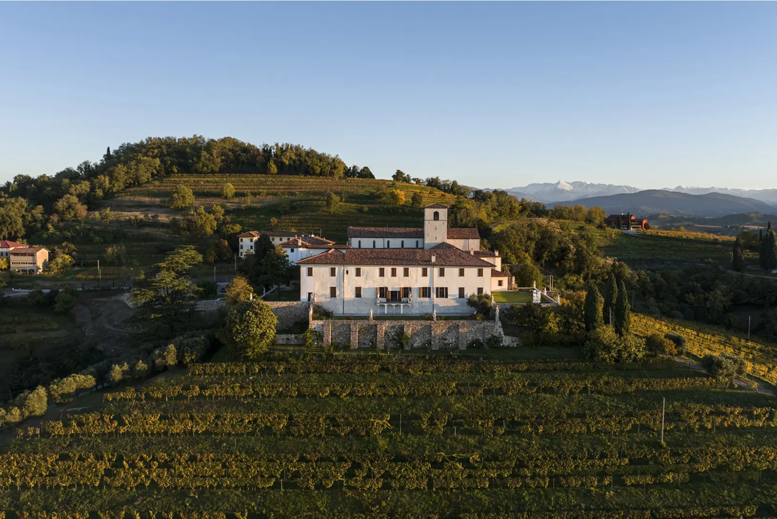 Rossazzo Abbey and surrounding vineyard