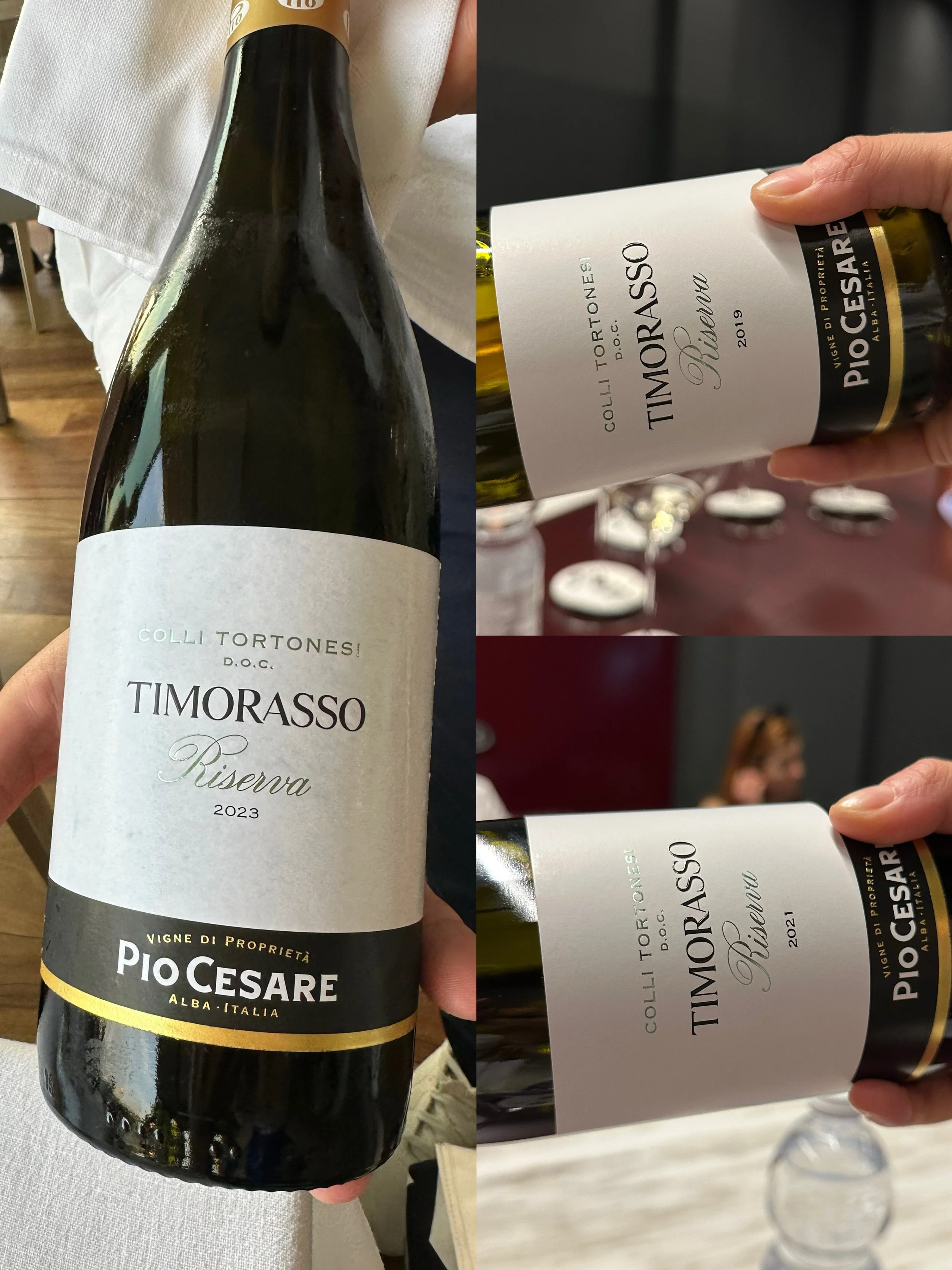 Tasting Pio Cesare Timorasso multivintages across 2019 to 2024 in the newly built cellar in Alba, Piedmonte Italy